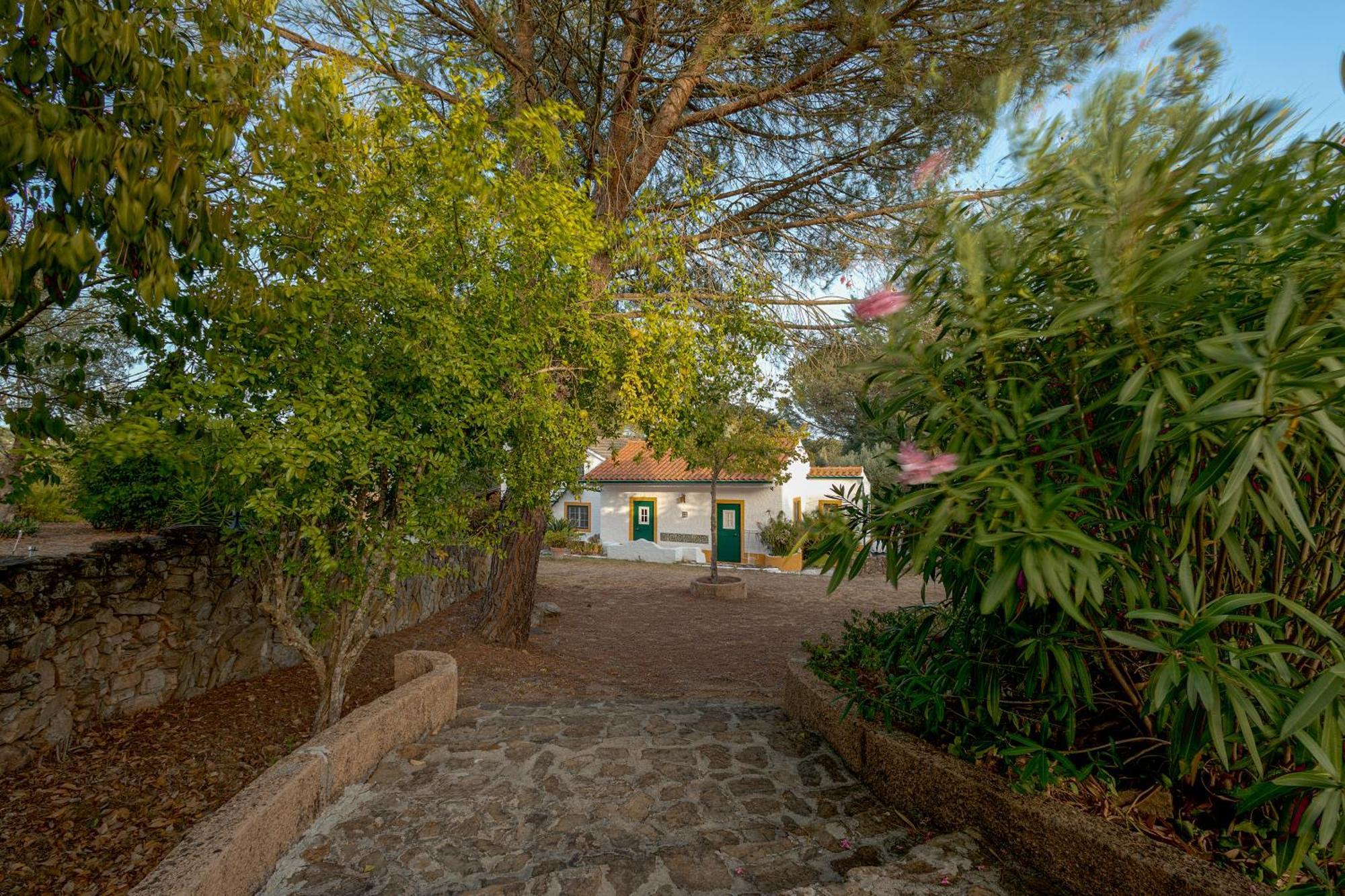 Вилла Casa Do Vale Sao Pedro de Tomar Экстерьер фото