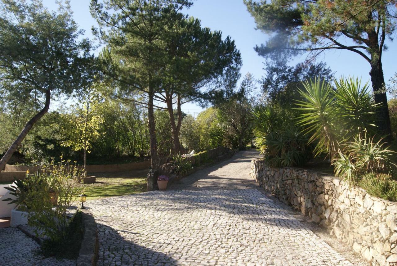 Вилла Casa Do Vale Sao Pedro de Tomar Экстерьер фото