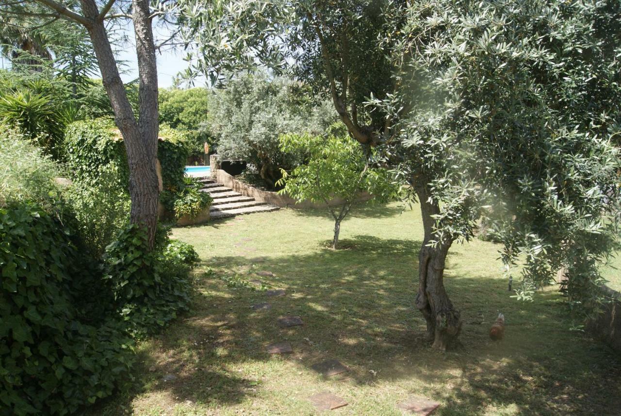 Вилла Casa Do Vale Sao Pedro de Tomar Экстерьер фото