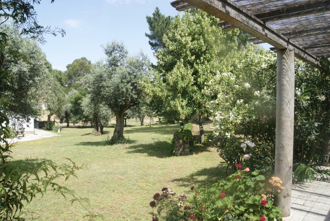 Вилла Casa Do Vale Sao Pedro de Tomar Экстерьер фото